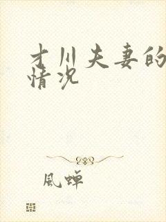 才川夫妻的恋爱情况