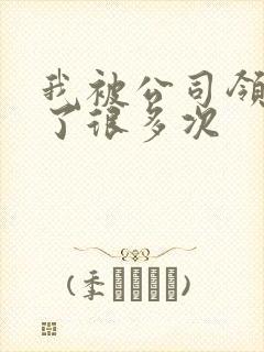 我被公司领导C了很多次