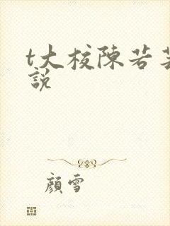 t大校陈若芸小说