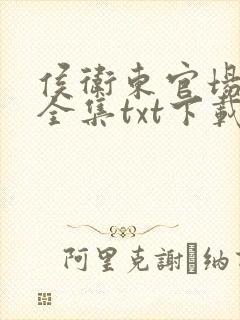 侯卫东官场笔记全集txt下载