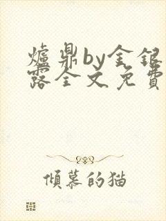 炉鼎by金银花露全文免费阅读笔趣阁