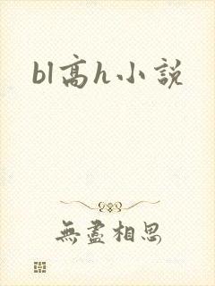 bl高h小说