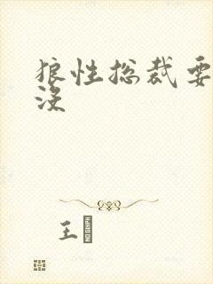 狼性总裁要够了没