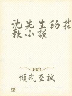 沈先生的花式调教小说