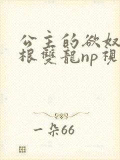 公主的欲奴h四根双龙np视频