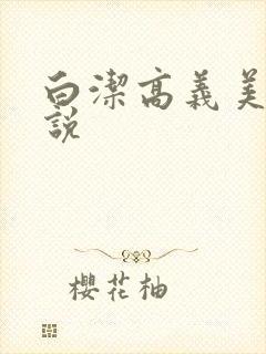 白洁高义美红小说