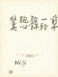 双胞胎一前一后夹心饼干年下