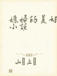 媳妇的美好时代小说