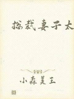 总裁妻子太诱人