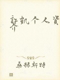 许凯个人资料简介