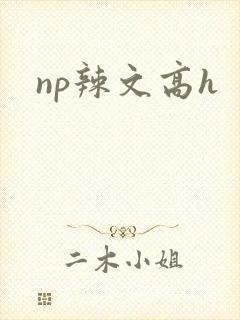 np辣文高h