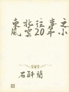 东北往事之黑道风云20年小说