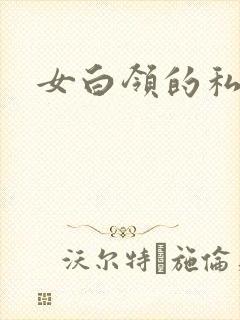 女白领的私生活