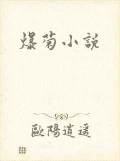 爆菊小说