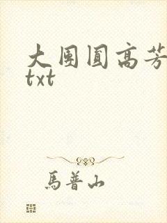 大团圆高芳小说txt