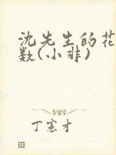 沈先生的花式调数(小非)