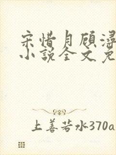 宋惜月顾浔渊的小说全文免费阅读