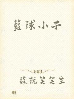 篮球小子
