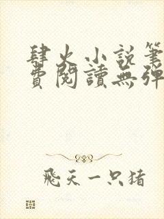 肆火小说笔趣免费阅读无弹窗