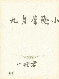 九月鹰飞小说