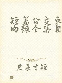 短篇公交车高h肉辣全集目录