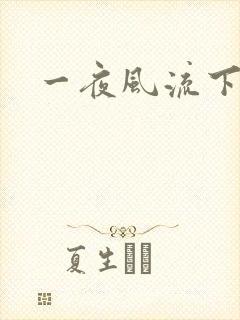 一夜风流下载