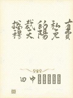 总裁的私有宝贝穆天阳免费