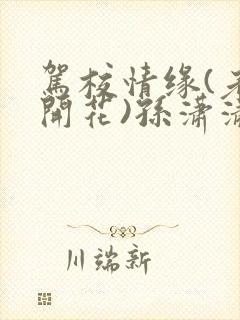 驾校情缘(老树开花)孙潇潇笔趣阁