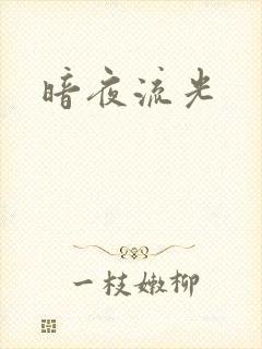 暗夜流光封面