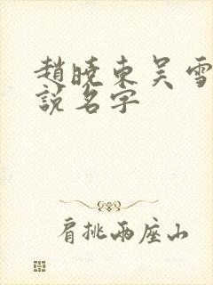 赵晓东吴雪晴小说名字