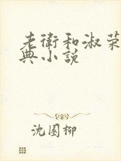 老卫和淑荣的经典小说