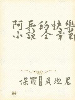 阿兵的快乐生活小说 全章节阅读免费