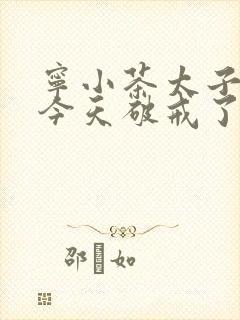 宁小茶太子殿下今天破戒了吗免费阅读