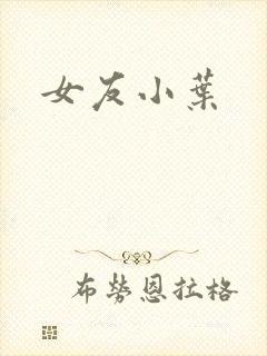女友小叶