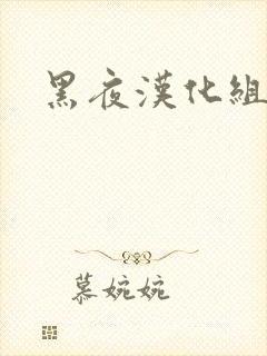 黑夜汉化组