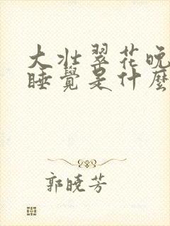 大壮翠花晚上不睡觉是什么电视剧