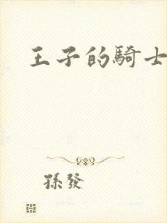 王子的骑士小说