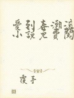 爱到春潮滚滚来小说免费阅读