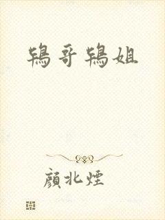 鸨哥鸨姐