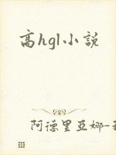 高hgl小说