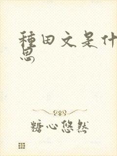 种田文是什么意思