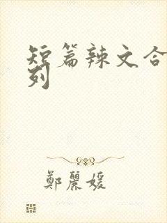 短篇辣文合集系列