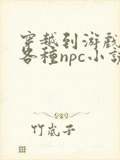 穿越到游戏里和各种npc小说