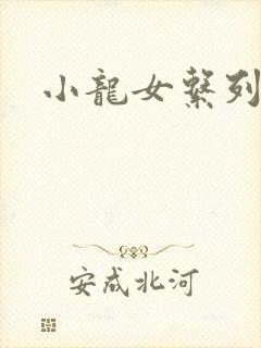 小龙女系列小说