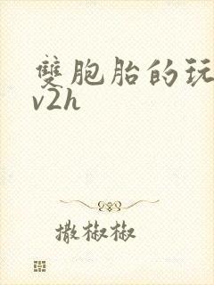 双胞胎的玩具1v2h