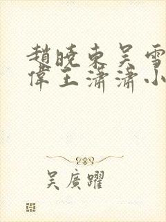 赵晓东吴雪晴郑伟王潇潇小说