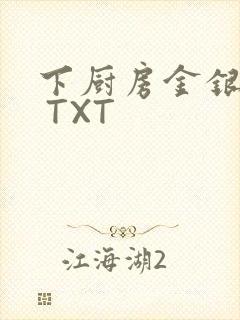 下厨房金银花露 TXT