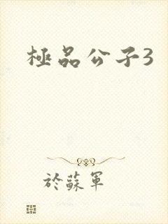极品公子3