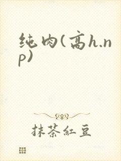 纯肉(高h.np)