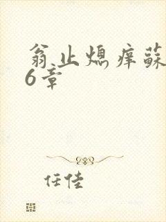 翁止熄痒苏玥第6章